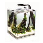 Aquarium Sets