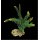 Aquarium Deko knstliche Koralle 05B 220x120x170mm