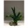 Aquarium Deko knstliche Koralle 05B 220x120x170mm