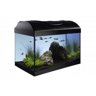 Aquarium Komplett Set Diversa-StartUp-Set- 40 cm komplett Set Einsteiger SET